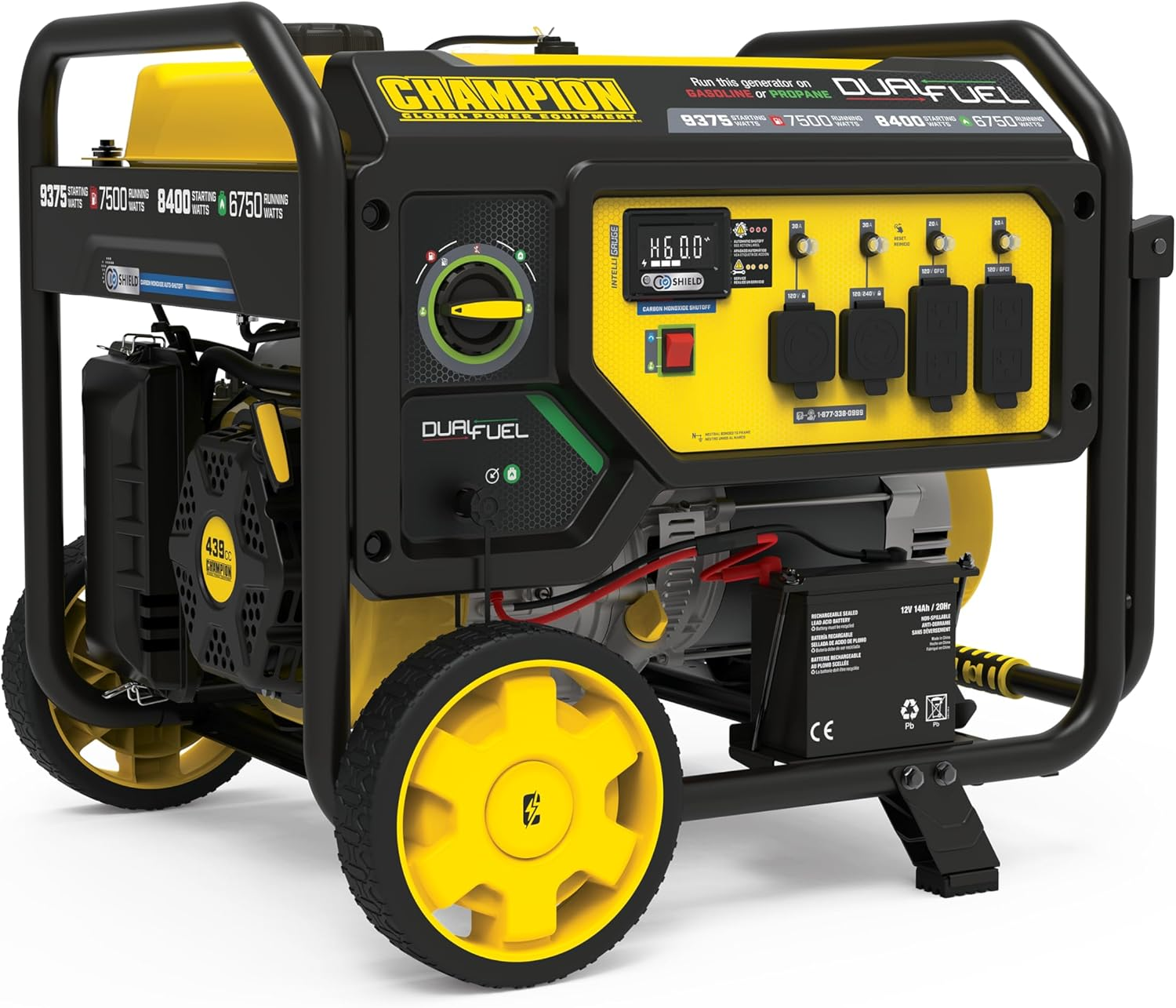 Champion 100165 dual fuel generator image